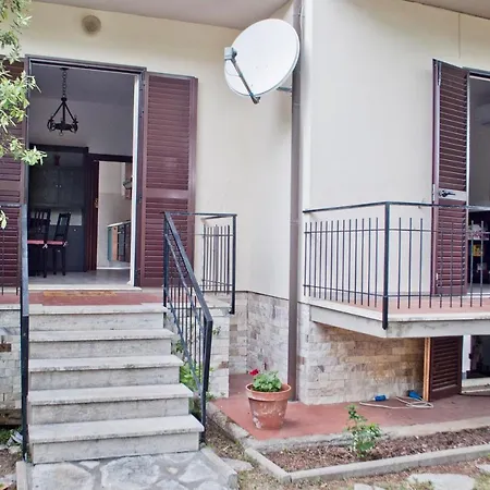Cedro Del Libano * Castiglioncello