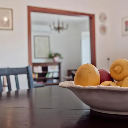 Cedro Del Libano Apartment Castiglioncello